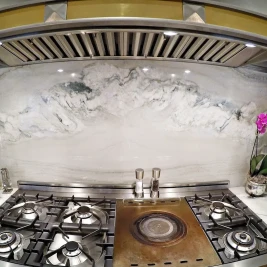 quartzite kitchen stone kitchens img9231a1d80e10df83 14 5779 1 115ee73
